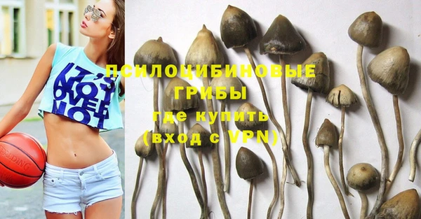 винт Мегион