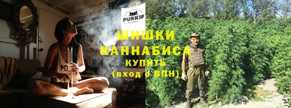 винт Мегион