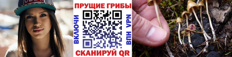 Псилоцибиновые грибы MAGIC MUSHROOMS  kraken онион  Харабали 